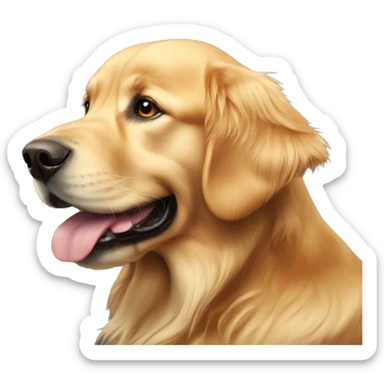 a golden retriever  sticker