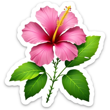 Rare tropical vivid yellow, pink, red, single Hibiscus flower, hyper realistic. Must have three green leaves. Clean thin lines, smooth appearance, no emoji icons, no background, isolated, rendering. sticker