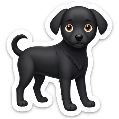 Chien noir avec poitrine et patte avant droite blanche sticker