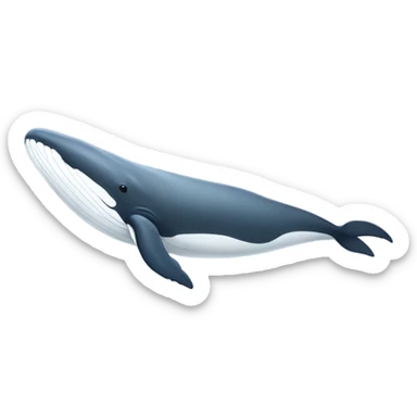 white whale , underside sticker