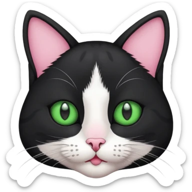 a cat with green eyes, lines on his head but he is black and has white paws and a white neck and mouth fur and nose is pink sticker