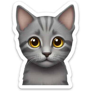 Grey kitten with hazel eyes  sticker