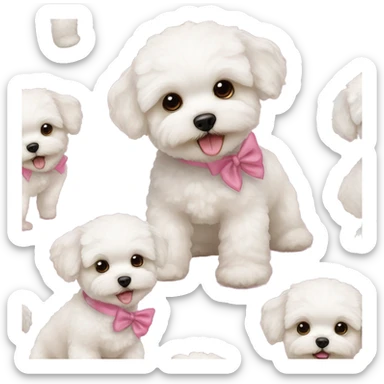 White maltipoo with pink bow and teddy bear cut  sticker