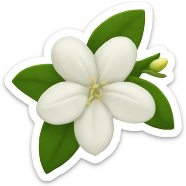 Night Jasmine flower sticker