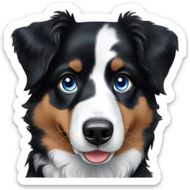 dog australian shepherd black with blue eyes sticker
