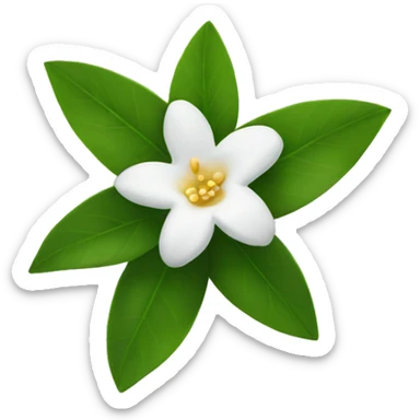 Jasmine Flower sticker
