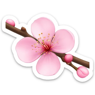 Cherry Blossom sticker