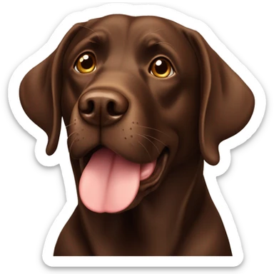 Chocolate lab dog sticker