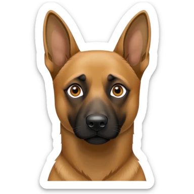Belgian Malinois sticker
