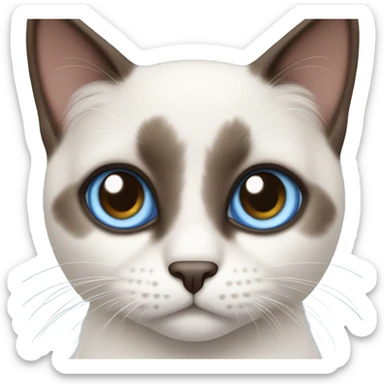 Snowshoe cat with small white around nose blue eyes and dark face sticker