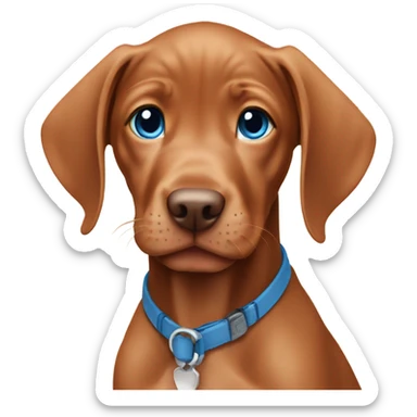 Viszla puppy with blue eyes sticker
