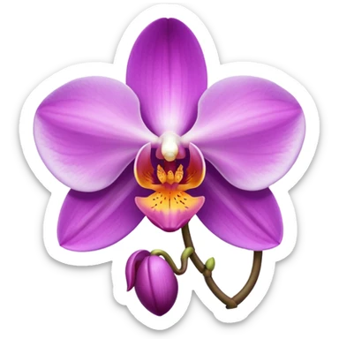 Phalaenopsis orchid which is beige and purple sticker