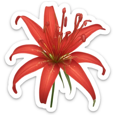 Red Spider lily flower sticker