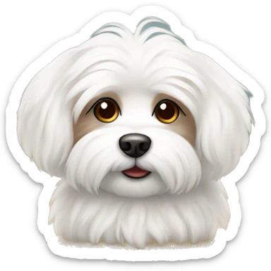 Fluffy maltese with brown ears  sticker