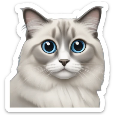 ragdoll blue mitted grey face sticker