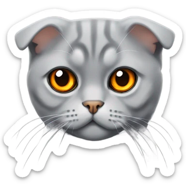 grey scottish fold cat with orange eyes  sticker