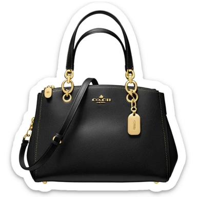 Coach Brooke Carryall black bag sticker