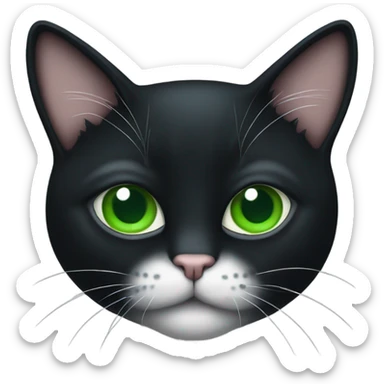 Gatto nero con occhi verde sticker