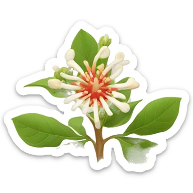 ashwagandha with flower sticker