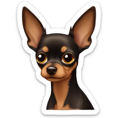 Russian toy terrier with dark brown head with light brown muzzle sticker