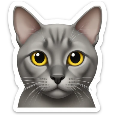 Burmese grey cat with black nose and yellow eyes sticker