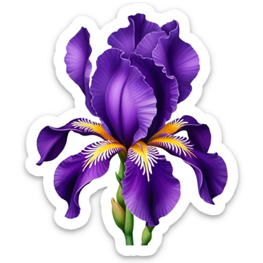 purple iris flower with elegant petals sticker