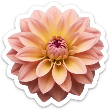 Dahlia flower sticker