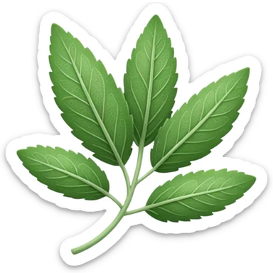 One sage leaf sticker