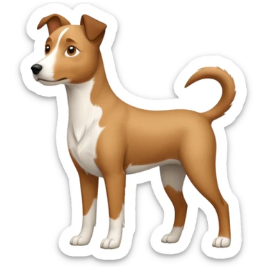 a full body large white parson russell looking dog the size of a kelpie with light brown ears and a light brown patch on one eye and a large snout sticker