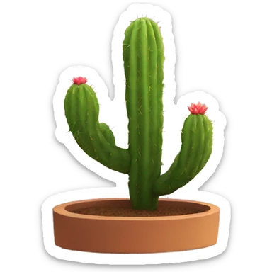 Cactus with a sunset sticker