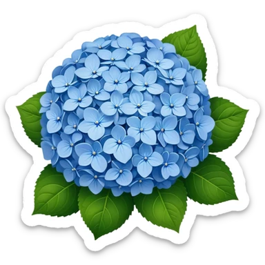 Beautiful blue hydrangea flower cluster with rounded ball shape and lush green leaves sticker