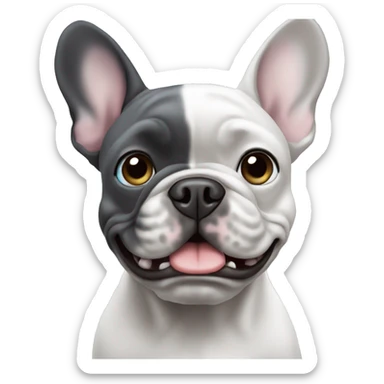 Grey french bulldog blue eyes sticker