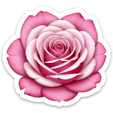 Bible rose et blanche sticker