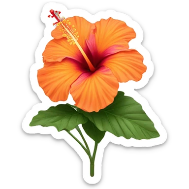 orange hibiscus flower sticker