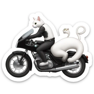 Gatto nero e bianco che ride sticker