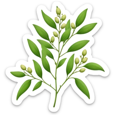 pigeonpea plant with green leaves and pods, simple and clear sticker