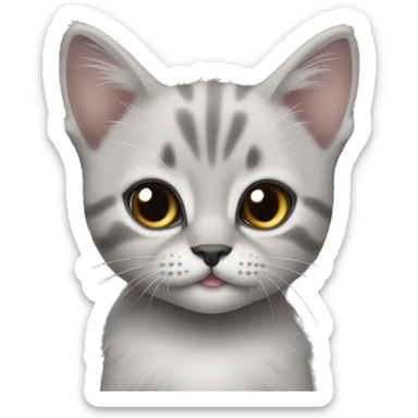 kitten with gray Mercedes c43  sticker