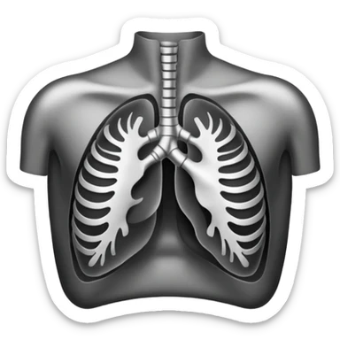 Human Chest X-ray film sticker