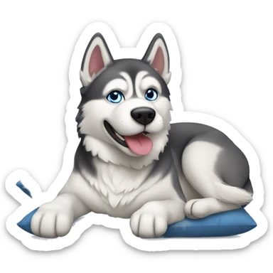 Husky dog lay on a pillow sticker
