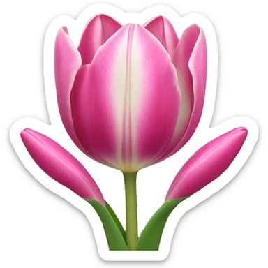 Tulip sticker