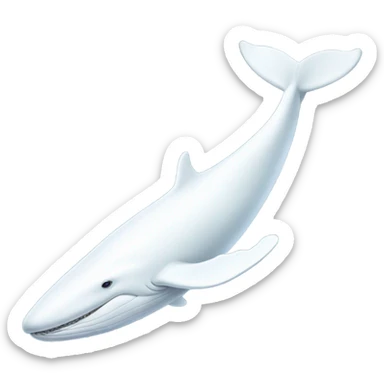 white whale , underside sticker