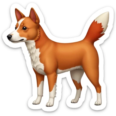 orange red heeler dog with stub tail  sticker