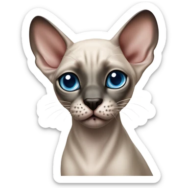 Seal point mink sphynx blue eyes dark nose without whiskers  sticker