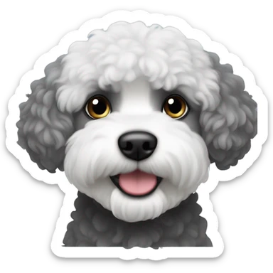 A Black and grey Bichon Frisé sticker