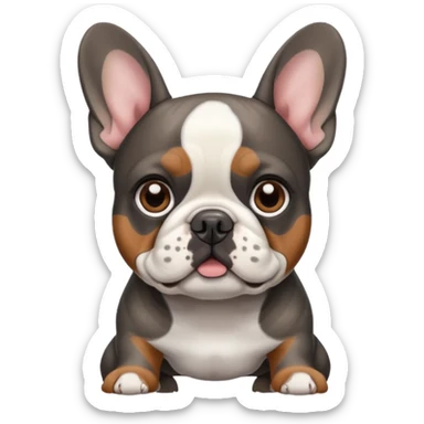 French bulldog that is brown black gray tri Merle sticker