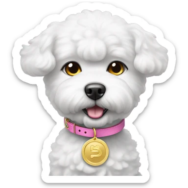 bichon dog wearing a pink collar with a gold coin shaped tag hanging from the collar sticker