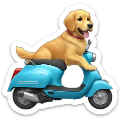 Golden retriever in the scooter sticker