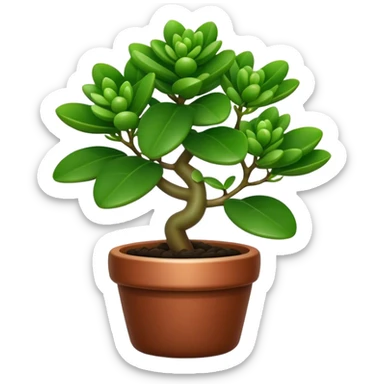 Cinematic Realistic Jade Plant Emoji, Thick and glossy, with dark green, round leaves that shine under the light. The sturdy stems and vibrant foliage give a sense of prosperity and tranquility. Soft glowing outline, capturing the essence of good luck, growth, and natural elegance in a flourishing jade plant! sticker