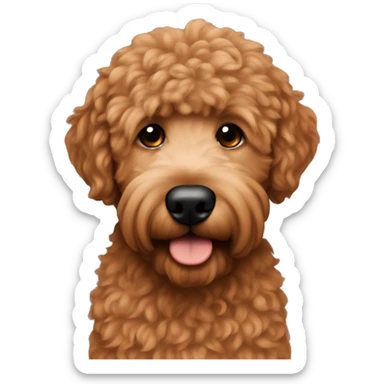 Lightskin man with a red goldendoodle sticker