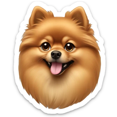 Light Brown Pomeranian  sticker